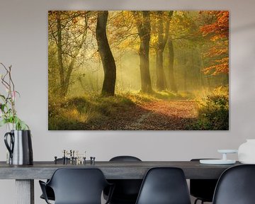 Herbstlicher Wald im Nebel von Peter Bolman
