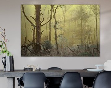 Foggy forest landscape by Peter Bolman