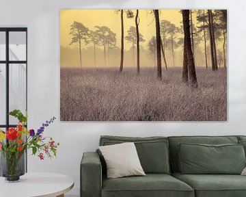 Artistic coniferous forest in the mist with marram grass