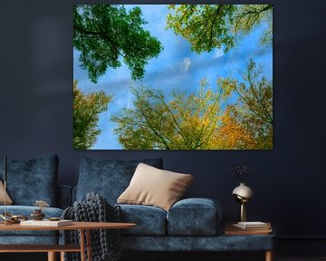 Cimes d'arbres aux couleurs de l'automne avec un ciel bleu