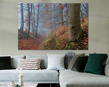 Forêt d'automne brumeuse avec sentier forestier