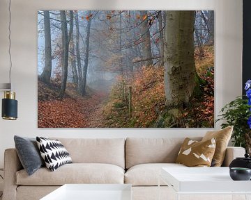 Foggy autumn forest with forest path