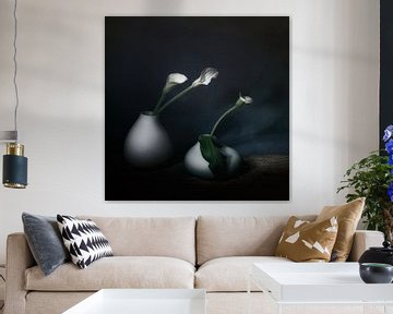 Winter glow . Still life with arum . by Saskia Dingemans Awarded Photographer