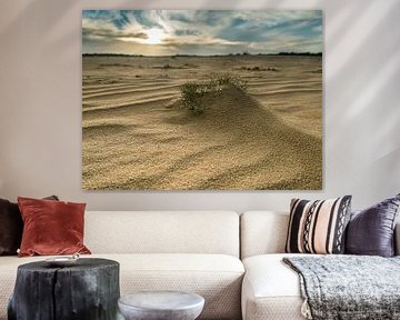 Zandvlakte van de Loonse en Drunense duinen van Moniek van Rijbroek