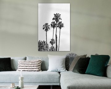 Palm Trees at the beach | monochrome by Melanie Viola