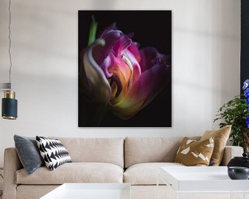 Elegant tulip dark & moody van Sandra Hazes