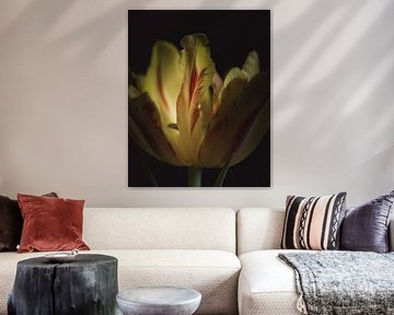 Yellow flame tulip dark & moody van Sandra Hazes