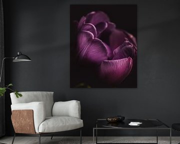 Violette Blütenblätter von Sandra Hazes