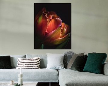 Colorful tulip dark & moody van Sandra Hazes