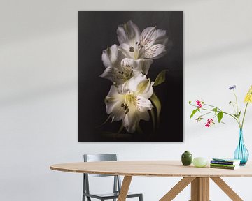 Lily Of The Incas van Sandra Hazes