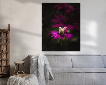 Living on the edge flower bee dark & moody van Sandra Hazes