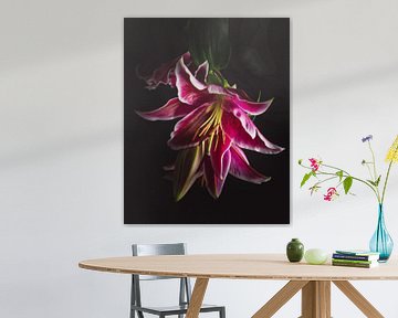 Elegant pink lilies van Sandra Hazes