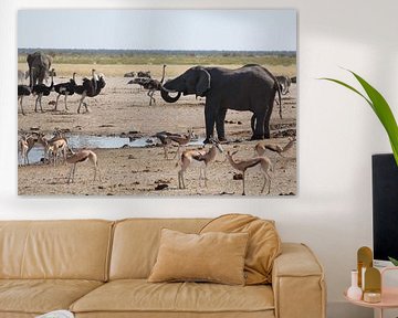 Olifanten, impala's en struisvogels bij een waterplas in Botswana, Afrika van Phillipson Photography