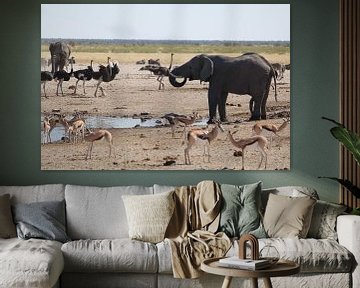 Het dierenrijk van Afrika van R.Phillipson