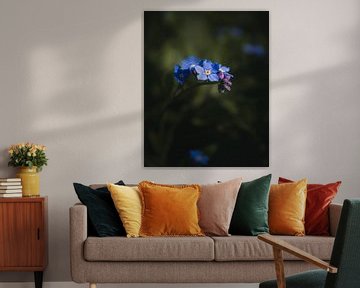 Forget Me Not van Sandra Hazes