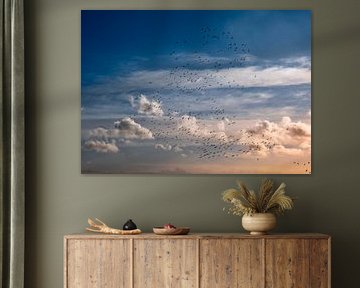 Vogel sur Johan Sneep