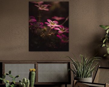 Little pink flowers dark & moody van Sandra Hazes