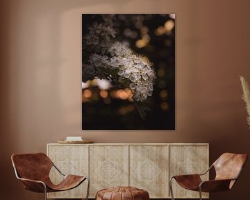 Spring blossom van Sandra Hazes