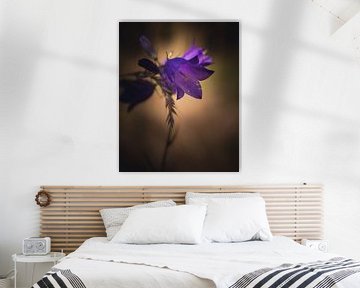 Bellflower dark & moody van Sandra Hazes