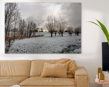 Nederlands winterlandschap met sneeuw en knotwilgen van Ruud Morijn