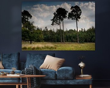 three trees together create a rural image by Lieke van Grinsven van Aarle