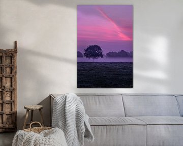 Violetter Sonnenaufgang auf der Veluwe von Martijn Aleman