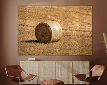 Gefreesd korenveld met grote ronde hooibalen in rijen van Harry Adam