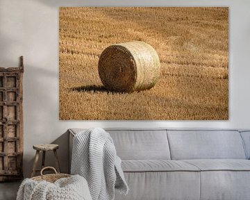 Gefreesd korenveld met grote ronde hooibalen in rijen van Harry Adam
