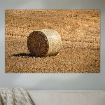 Gefreesd korenveld met grote ronde hooibalen in rijen