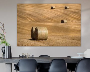 Mown cornfield with large round hay bales in groups by Harry Adam