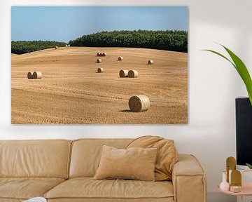 Gemaaid maïsveld met grote ronde hooibalen in groepen van Harry Adam