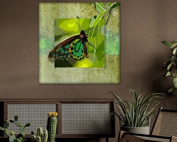 Vlinder | Richmond Birdwing van Dirk H. Wendt