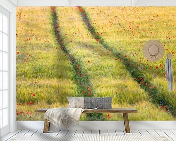 Poppy seed swab in a cornfield by Daniela Beyer