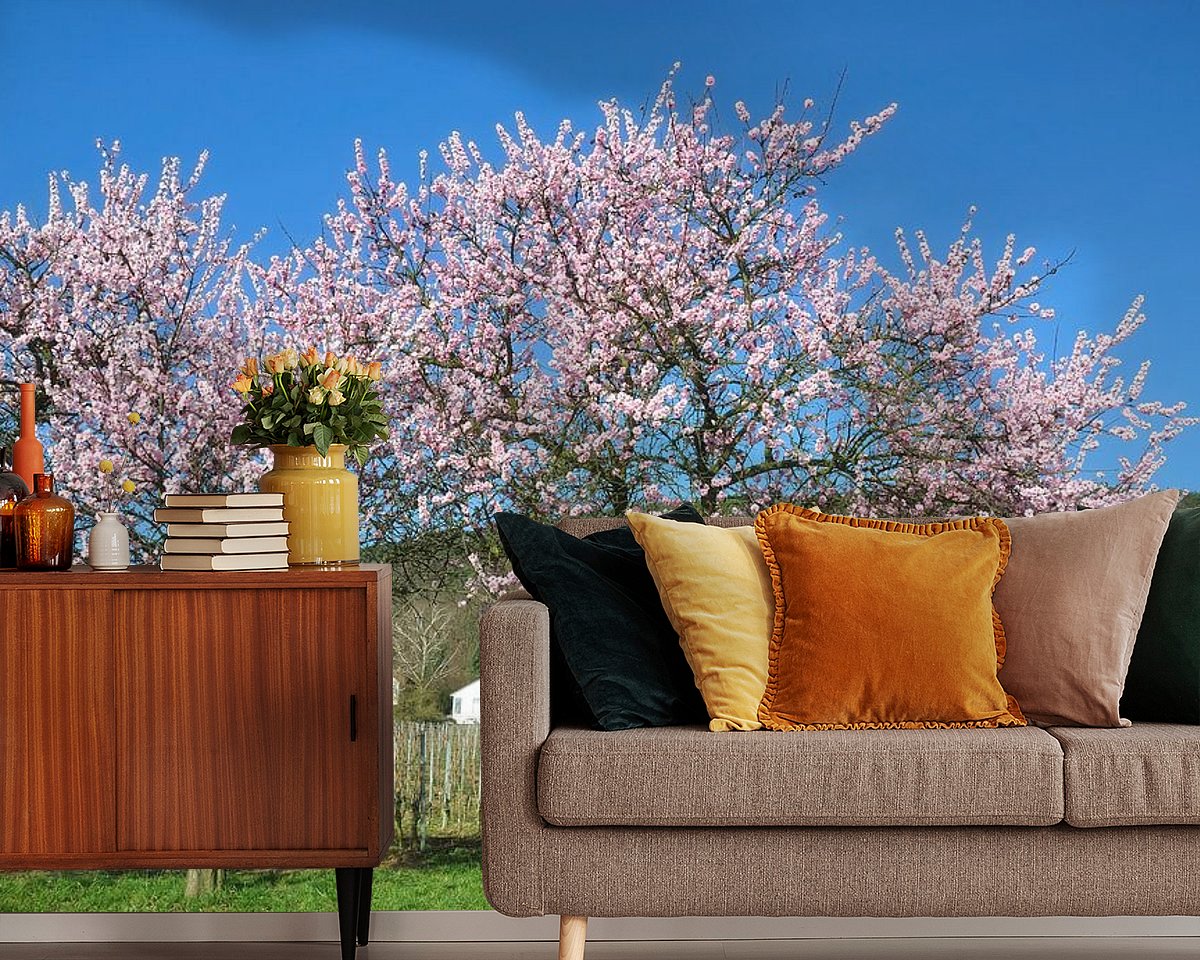 Raumvorschau