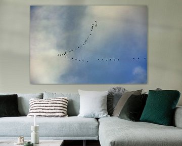 Cranes 1
