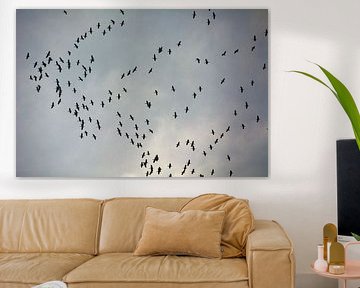 Cranes 2