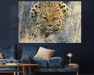 Leopard von Loulou Beavers