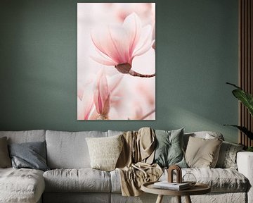 Magnolia by Jan Schuler