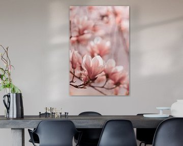Magnolia-bloemen van Jan Schuler
