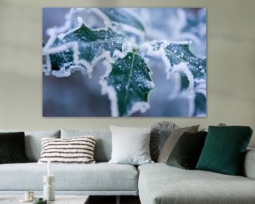 Stechpalme im Schnee von Karijn | Fine art Natuur en Reis Fotografie