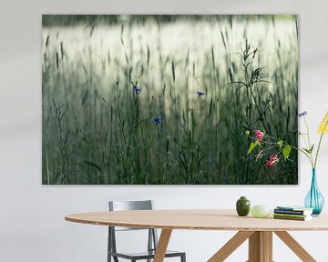 Wildblumen