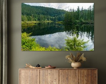 Kennedy River with forest and reflections by Hans-Heinrich Runge