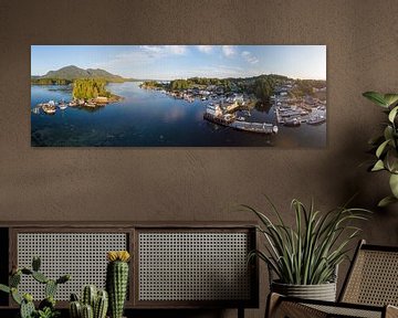 Aerial panorama of Tofino with harbour and mountains by Hans-Heinrich Runge
