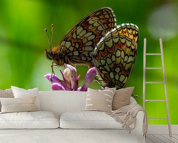 Parelmoervlinders op een gevlekte orchidee