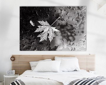 Herbstliches Blütenblatt in schwarz-weiß von Stefania van Lieshout