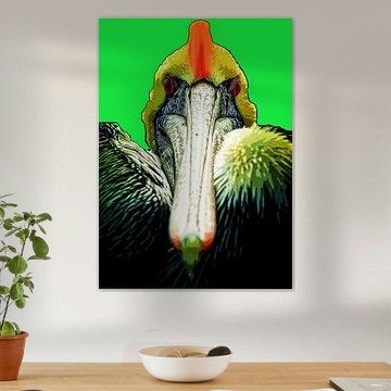 pelican with cockscomb