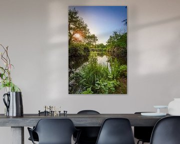 Zonsopkomst boven landgoed de Wamberg, Berlicum