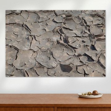 Trockenrisse im Schlamm von Frank Heinz