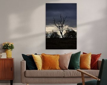 Kale boom bij zonsondergang. van Jurjen Jan Snikkenburg