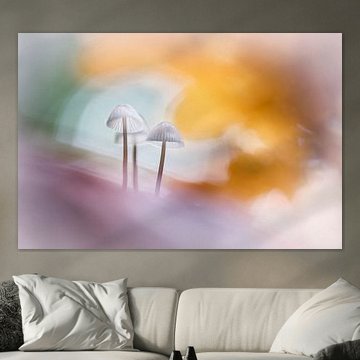 Parfois, la magie opère